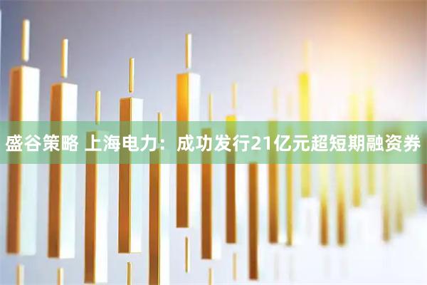 盛谷策略 上海电力：成功发行21亿元超短期融资券